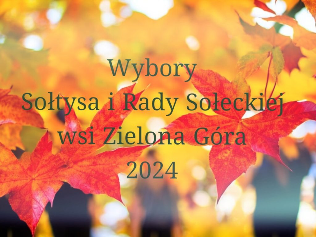 Wybory Sołtysa i Rady Sołeckiej w Zielonej Górze 2024