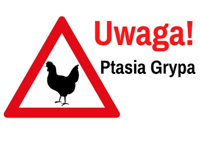 Ważne informacje dla mieszkańców sołectwa – Ochrona przed ptasią grypą!